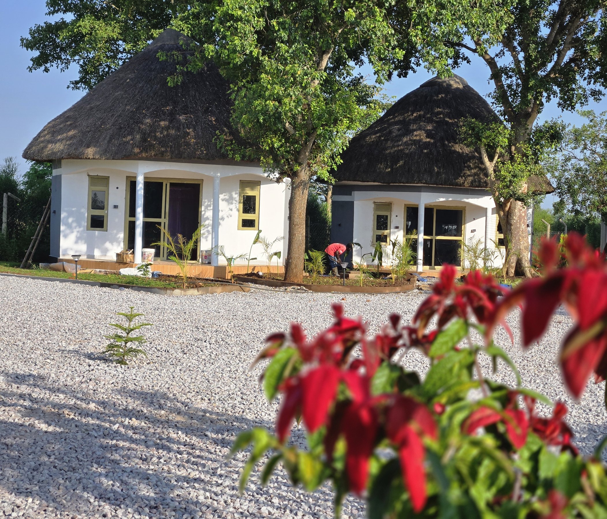 Experience Countryside Living at Ham Breeding Farm Cottages